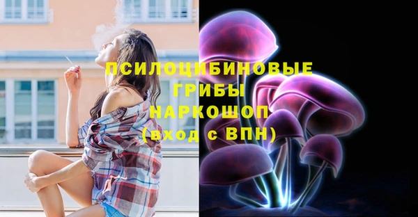 трава Абаза