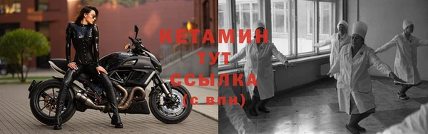 трава Абаза
